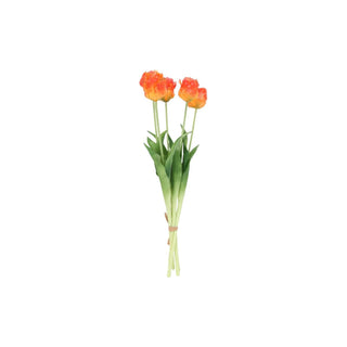 Tulpen boeket oranje met franjes van House of Nature, duidelijk als hoofdfoto afgebeeld
