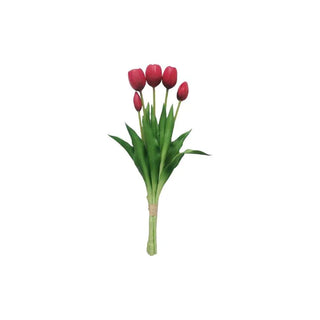 Tulpen boeket rood van House of Nature, duidelijk als hoofdfoto afgebeeld