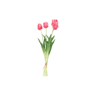 Tulpen boeket roze met franjes van House of Nature, duidelijk als hoofdfoto afgebeeld