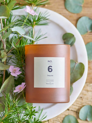 Geurkaars bruin No.6 Sequoia - 210gr van Illume, toegepast in een sfeervolle interieursetting