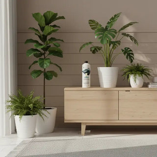 Vinyl & pvc reiniger beschermt & herstelt van James, toegepast in een sfeervolle interieursetting