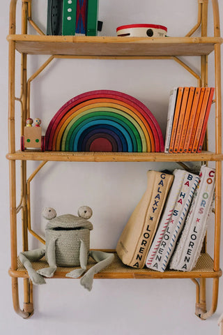 Mini Fred the Frog mand op een boekenrek