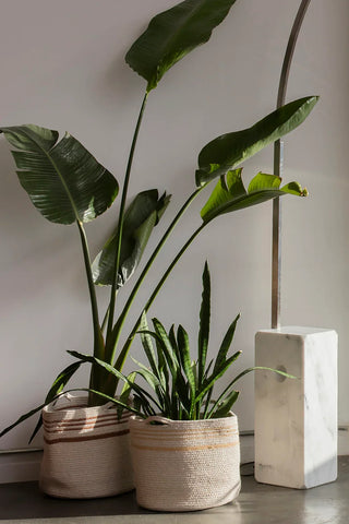 Twin-mand met amberkleurige strepen als plantenmand, naast een andere mand.