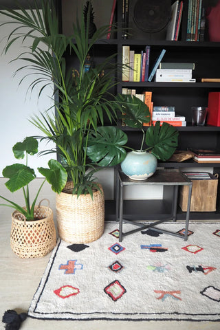 Naador-vloerkleed met kleurrijke symbolen en zwarte rand bij planten en een boekenkast.