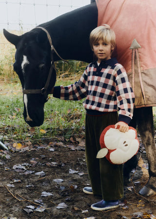 Kind houdt een appelvormig kussen vast naast een paard.