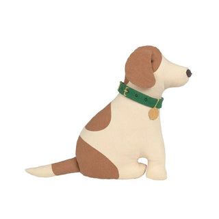 Cooper-hondenkussen in bruin en wit met groene halsband op een neutrale achtergrond.