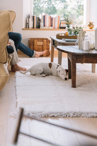 Steppe Sheep White vloerkleed onder een tafel in een zithoek