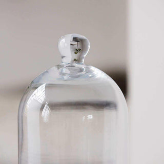 Cloche en verre 29 cm - Het Adres