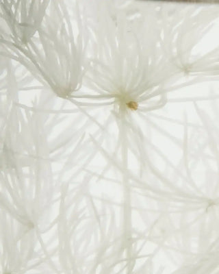 Reed Diffuser Lilac muse – 240 ml van Meraki, toegepast in een sfeervolle interieursetting