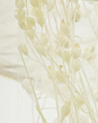 Reed Diffuser Vivid Shades – 240 ml van Meraki, toegepast in een sfeervolle interieursetting