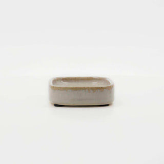Soap dish Datura Shellish grey 12cm - Het Adres