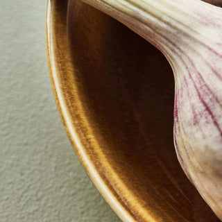 Schaaltjes Hala mocca 17cm - 4 stuks van Nicolas Vahe, van dichtbij met etiket en productdetails zichtbaar